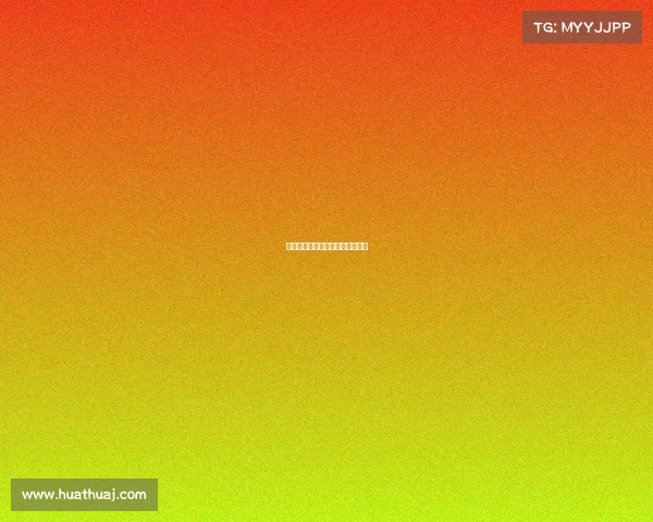 竞逐荣光：中山电竞开启全新征程